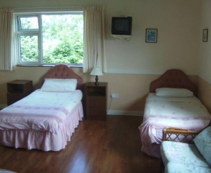 Westfield House Hotell Killorglin Rom bilde